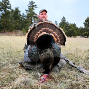 e15bbd0e-1e00-49e0-8c13-7c818c043667 Spring Turkey 2020