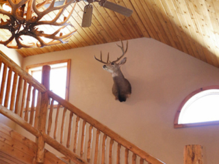 Fourmile Cabin Interior