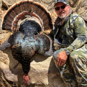 IMG_4723 Spring Turkey 2022
