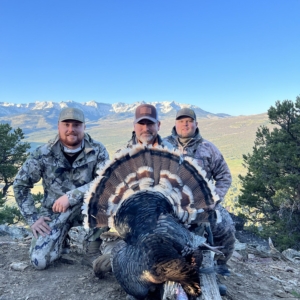 IMG_4815 Spring Turkey 2022