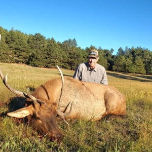 Eastern Plains Elk 2022