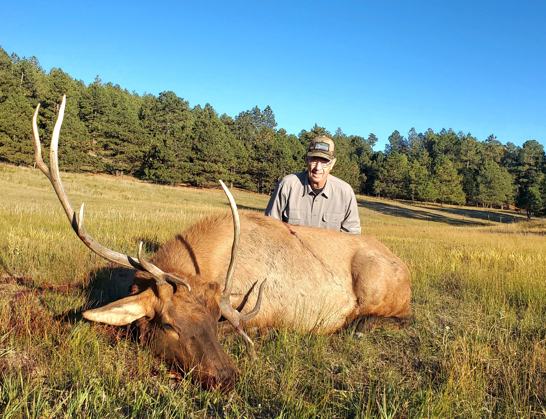 Eastern Plains Elk 2022