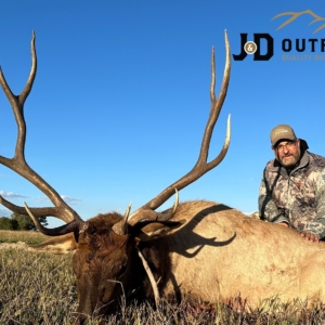 Eastern Plains Elk 2023