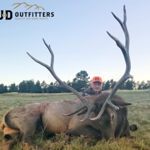 Eastern Plains Elk 2023