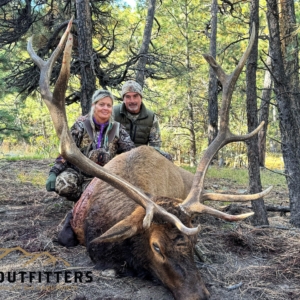 Eastern Plains Elk 2023