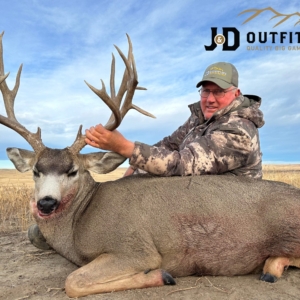 Web 3 Deer Eastern Plains Deer 2023